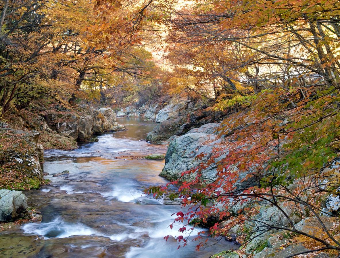 키누가와-온센 산라쿠 호텔 닛코 시 외부 사진